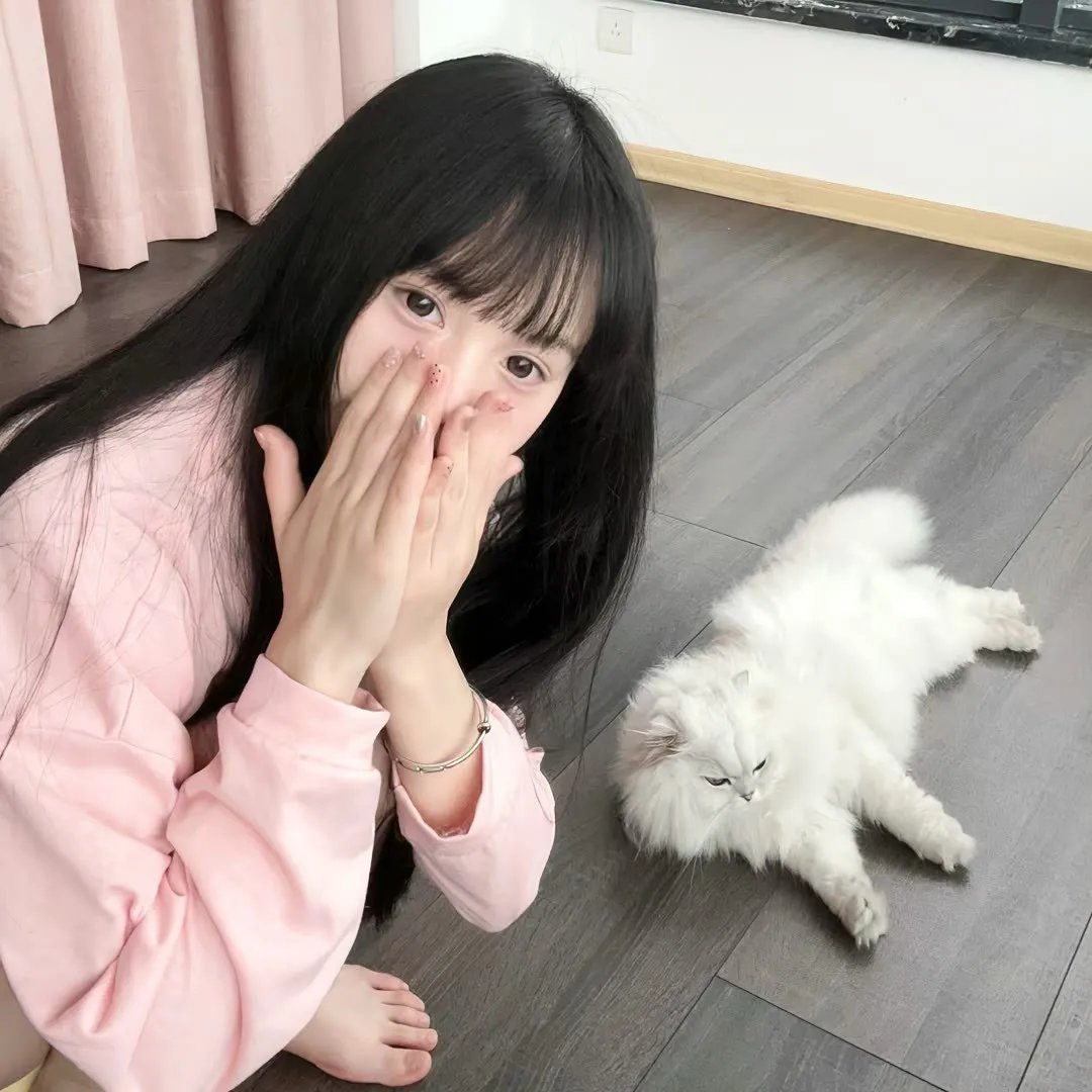 波哥大